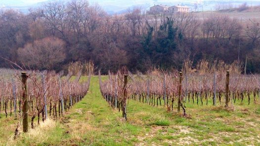 Foto di E. Marulli fonte: archivio pagina FB di 